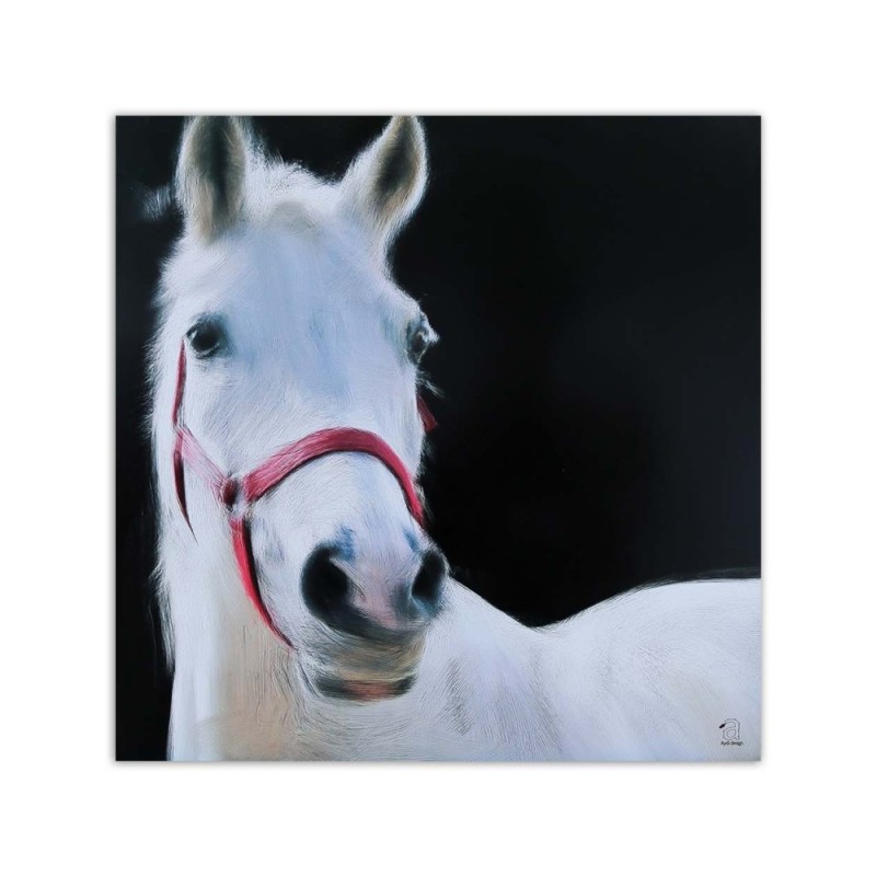 Bild auf Leinwand - Weißer Pferdekopf | Feeby