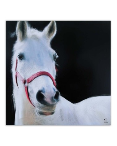 Bild auf Leinwand - Weißer Pferdekopf | Feeby