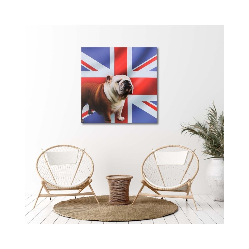 Bild - Englische Bulldogge vor einem Flaggenhintergrund | Feeby