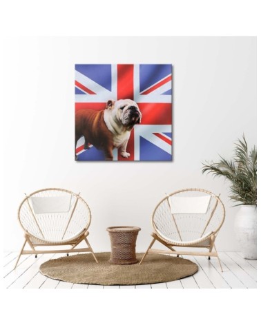 Bild - Englische Bulldogge vor einem Flaggenhintergrund | Feeby