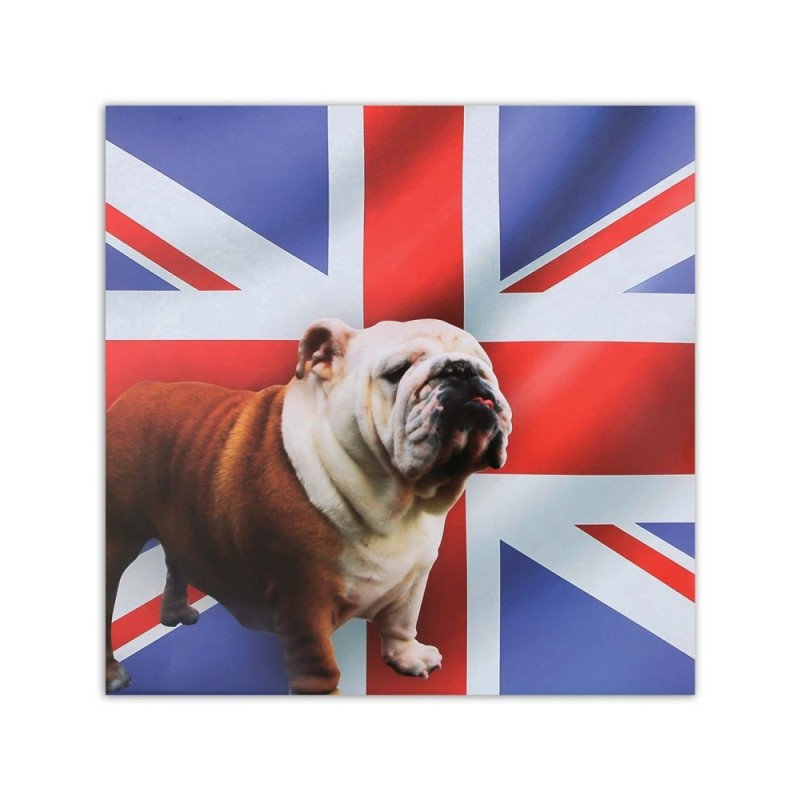 Bild - Englische Bulldogge vor einem Flaggenhintergrund | Feeby