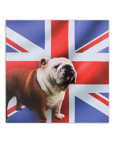 Bild - Englische Bulldogge vor einem Flaggenhintergrund | Feeby