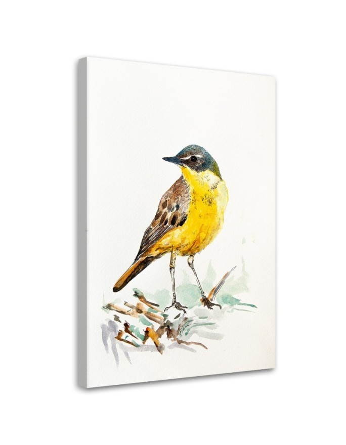 Canvas prints for a child's room Yellow bird on canvas | FEEBY