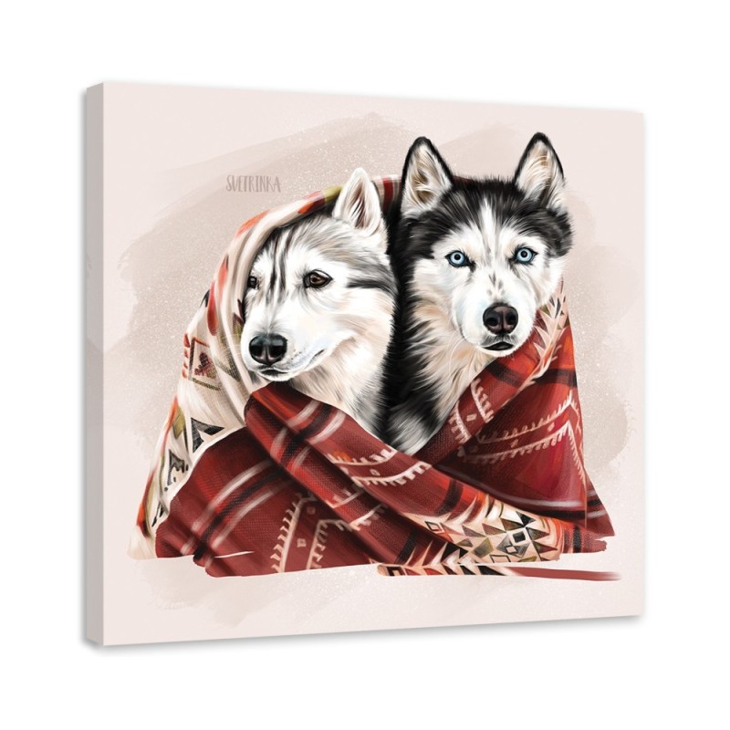 Obraz do pokoju dziecka - Husky w zimowym kocu | FEEBY