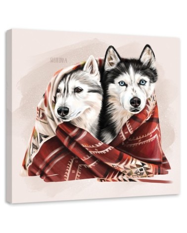 Obraz do pokoju dziecka - Husky w zimowym kocu | FEEBY