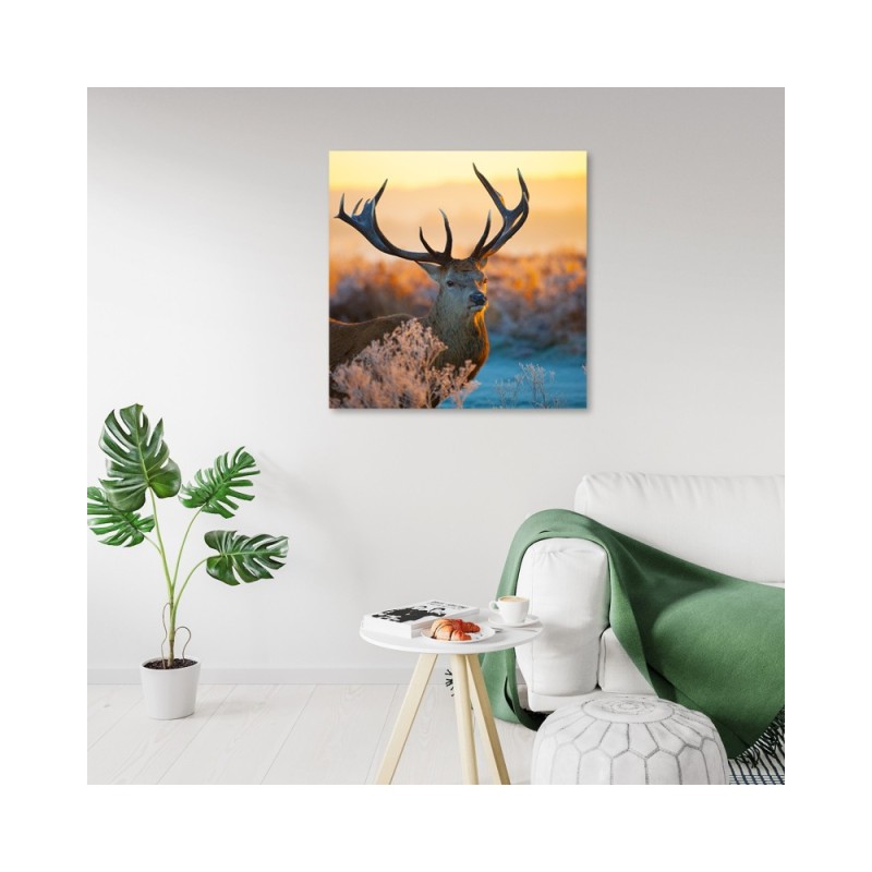 Bild auf Leinwand - Jeleń Sonnenaufgang | Feeby