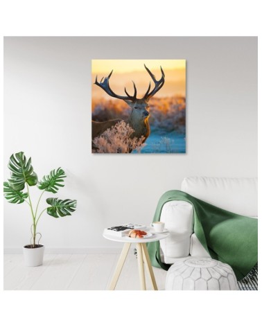 Bild auf Leinwand - Jeleń Sonnenaufgang | Feeby