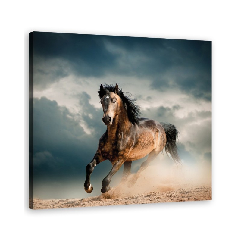 Bild auf Leinwand - Pferd Galopp | Feeby