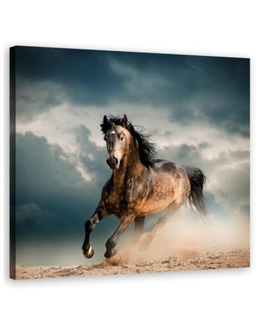 Bild auf Leinwand - Pferd Galopp | Feeby