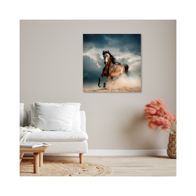 Bild auf Leinwand - Pferd Galopp | Feeby