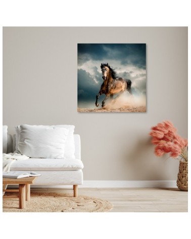 Bild auf Leinwand - Pferd Galopp | Feeby