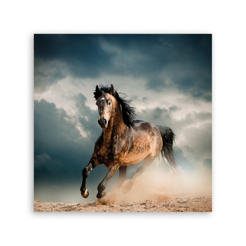 Bild auf Leinwand - Pferd Galopp | Feeby