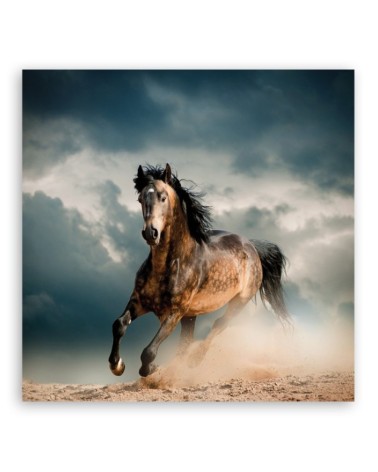 Bild auf Leinwand - Pferd Galopp | Feeby