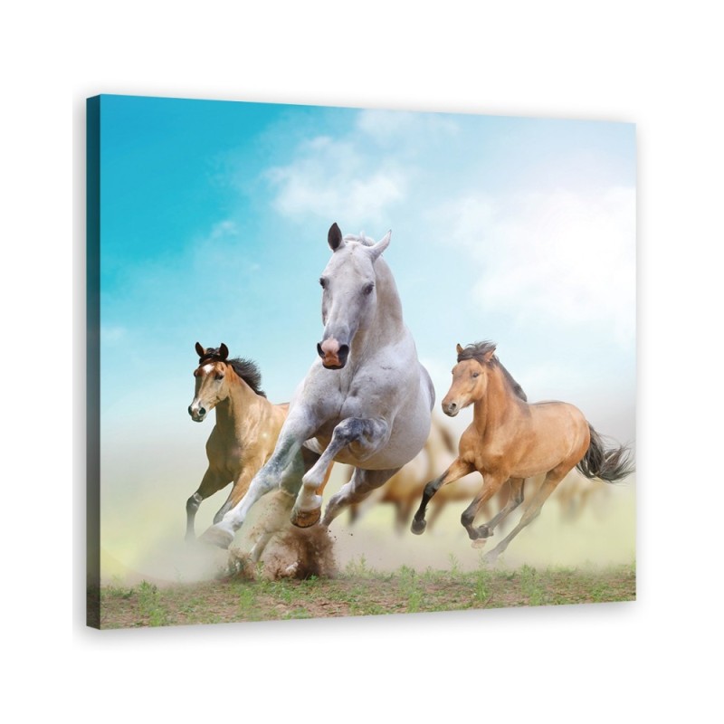 Leinwandbild modern - Galoppierende Pferde | Feeby