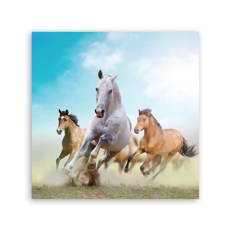 Leinwandbild modern - Galoppierende Pferde | Feeby