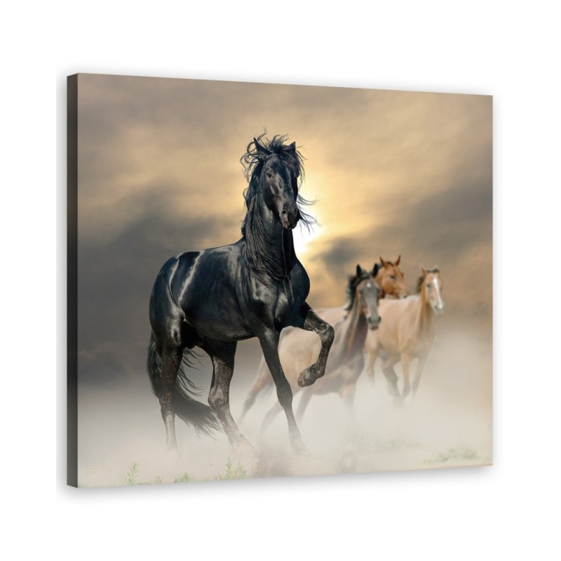 Leinwandbild - Herde von Pferden | Feeby