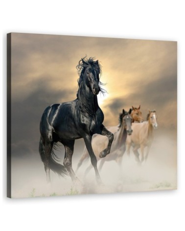 Leinwandbild - Herde von Pferden | Feeby