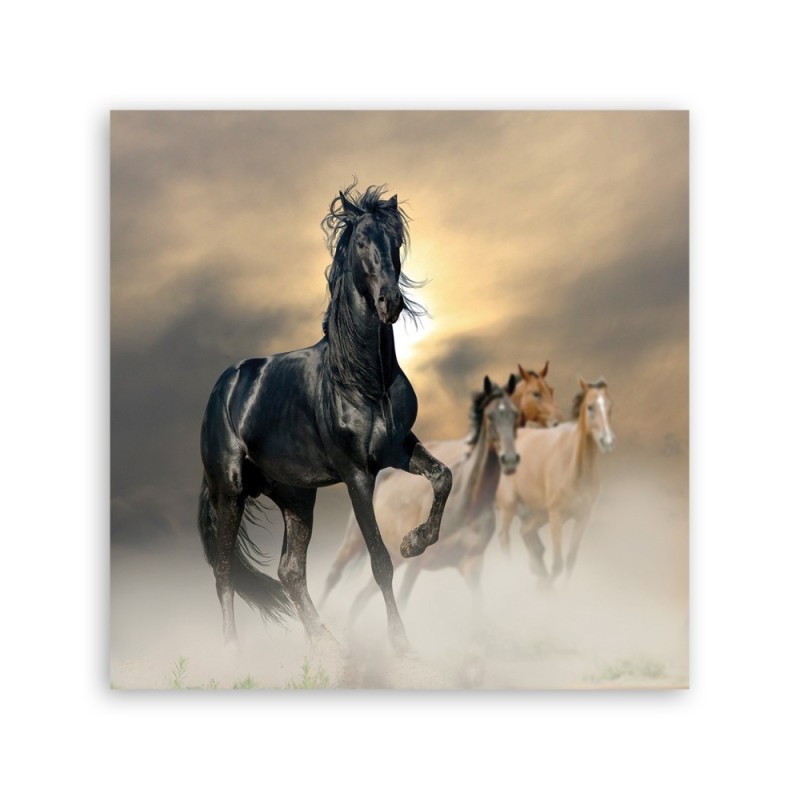 Leinwandbild - Herde von Pferden | Feeby