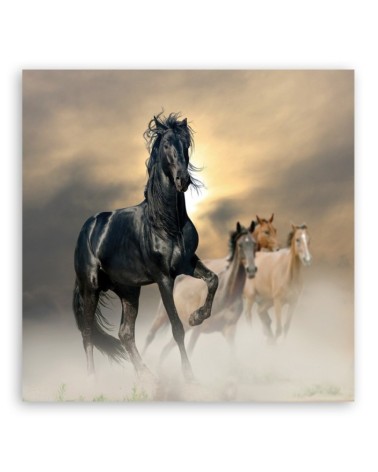 Leinwandbild - Herde von Pferden | Feeby