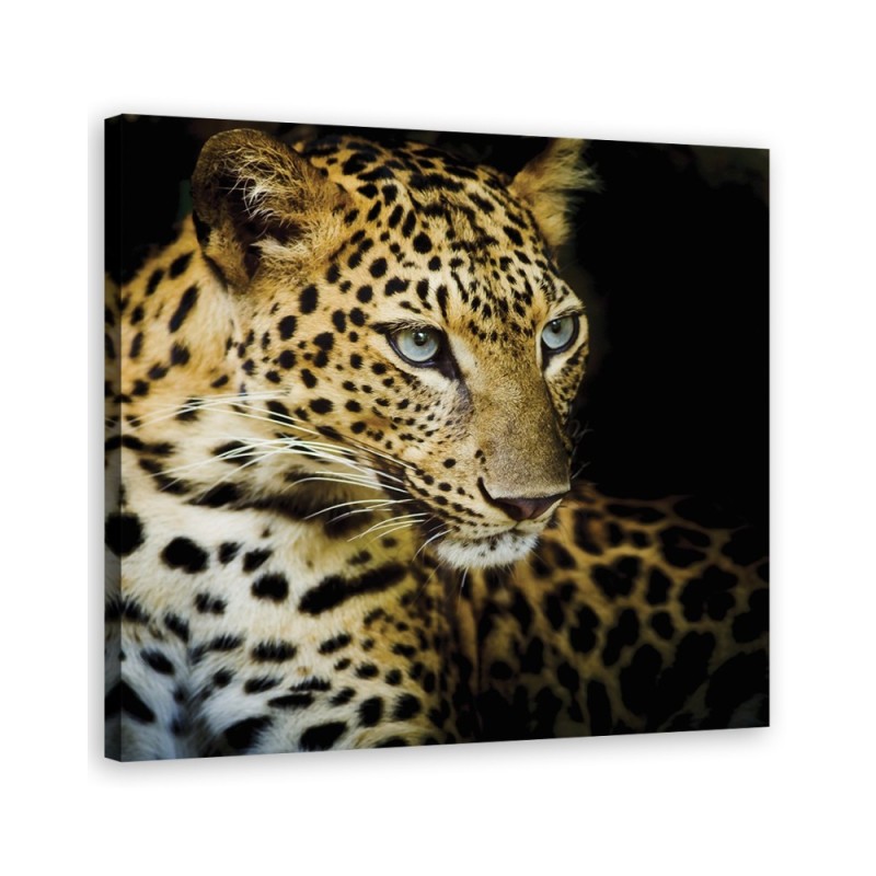 Bild auf Leinwand - Majestätischer Leopard | Feeby