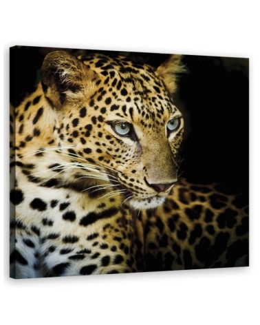 Bild auf Leinwand - Majestätischer Leopard | Feeby