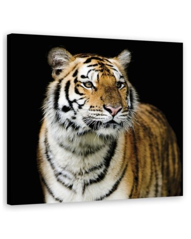 Canvas painting for the bedroom - Majestic tiger | FEEBY
