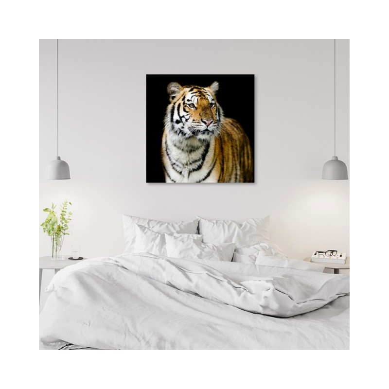 Leinwandbild - Tiger Wildtiere Natur | Feeby