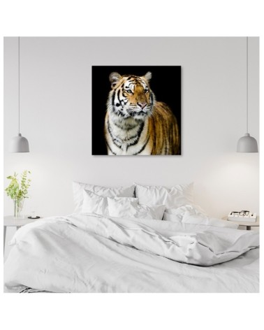 Leinwandbild - Tiger Wildtiere Natur | Feeby