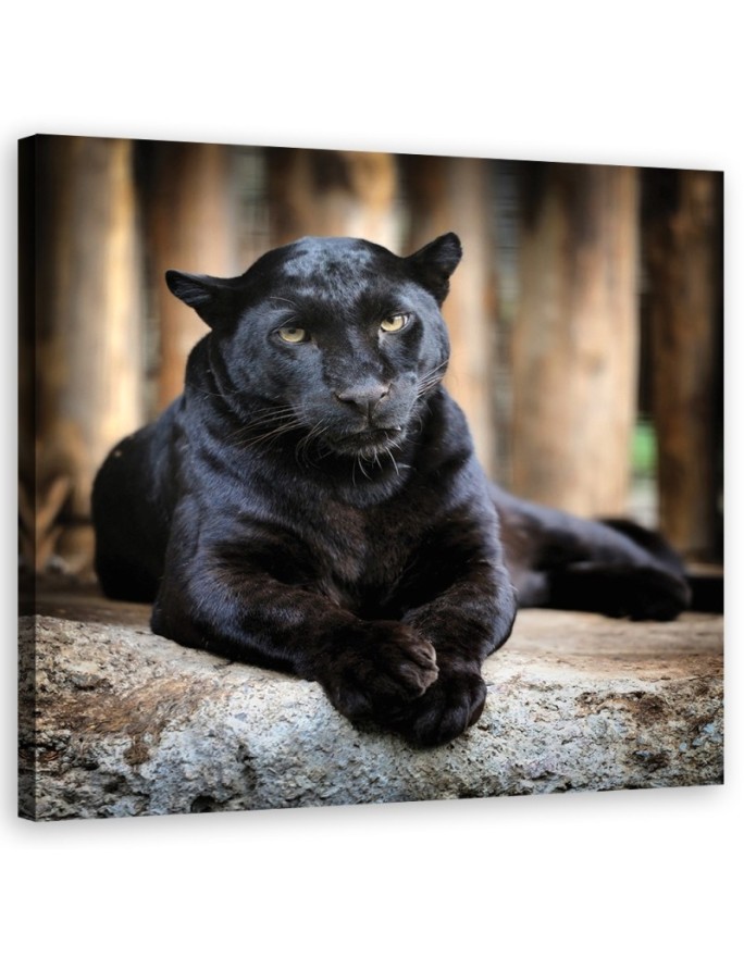 Wandbild für Wohnzimmer - Schwarzer Panther | Feeby