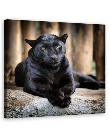 Wandbild für Wohnzimmer - Schwarzer Panther | Feeby