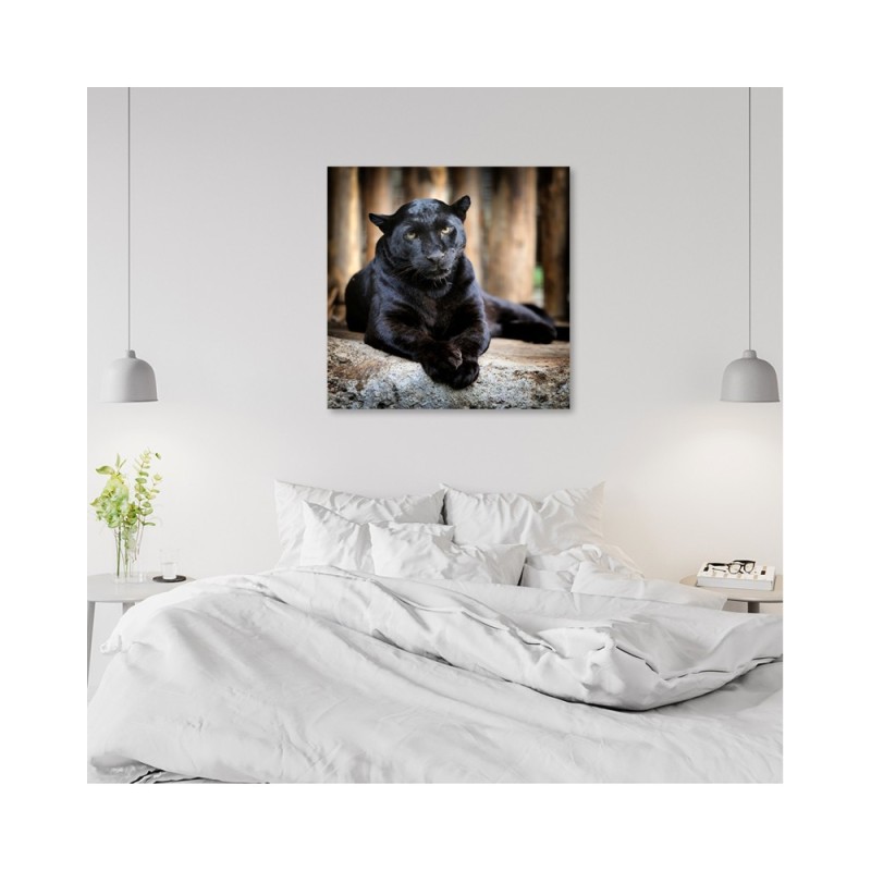 Wandbild für Wohnzimmer - Schwarzer Panther | Feeby