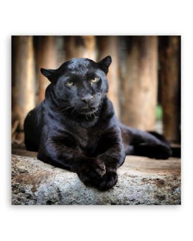 Wandbild für Wohnzimmer - Schwarzer Panther | Feeby