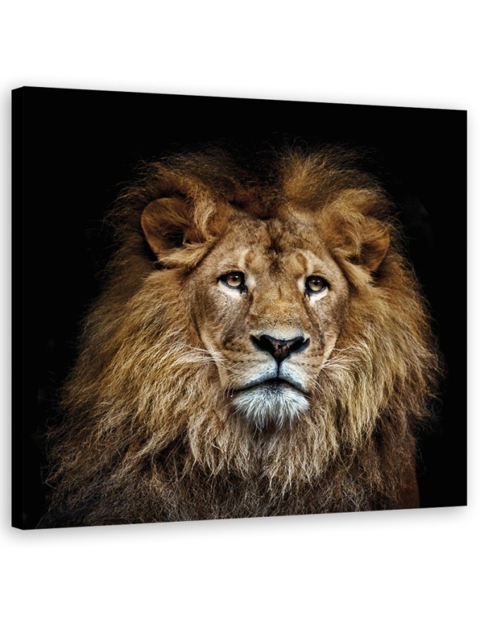 Decorative canvas painting - Majestic lion | FEEBY