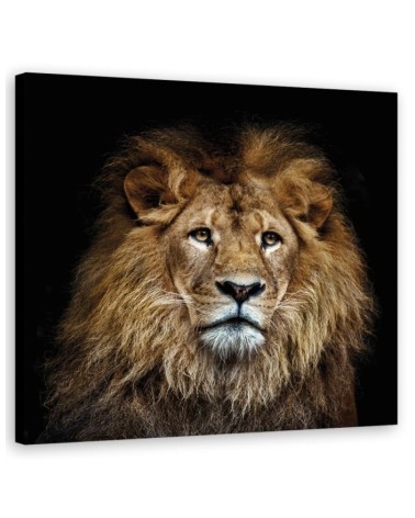 Modernes Wandbild - Majestätischer Löwe | Feeby