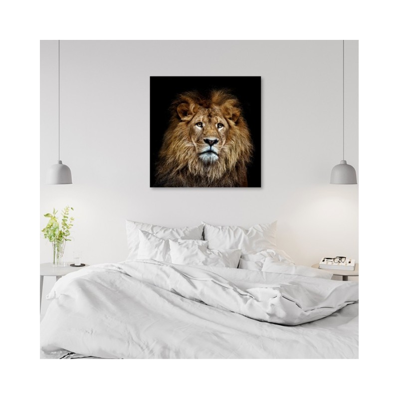Modernes Wandbild - Majestätischer Löwe | Feeby