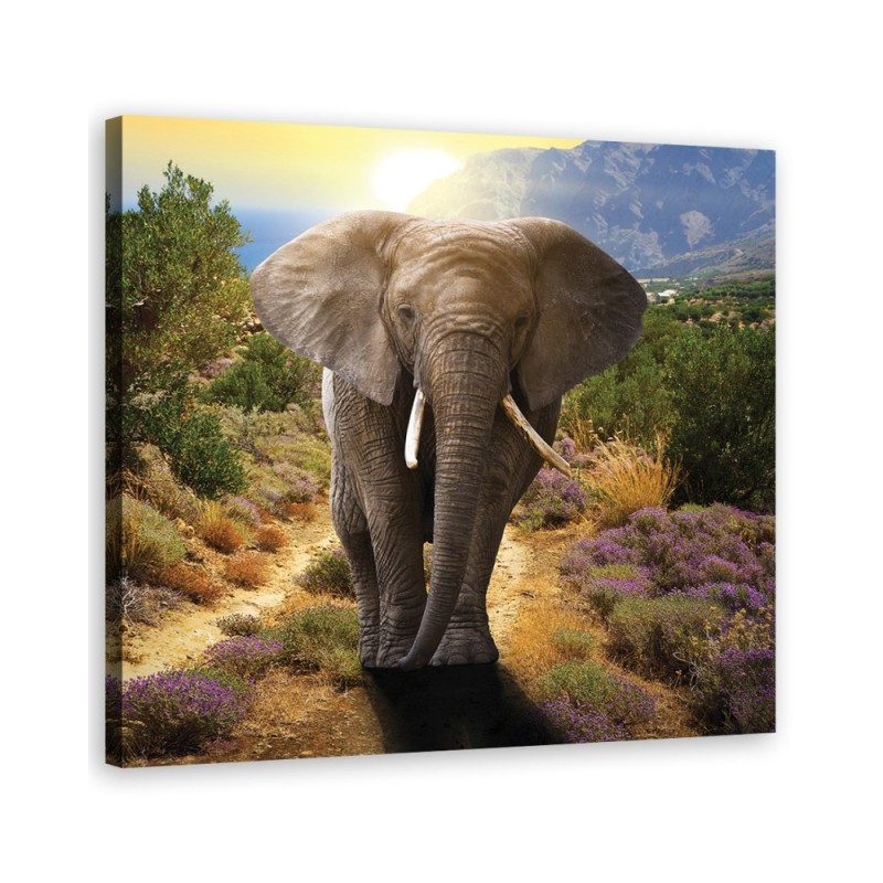 Dekoratives Leinwandbild - Elefant bei Sonnenuntergang | Feeby