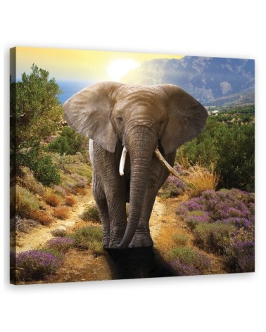 Dekoratives Leinwandbild - Elefant bei Sonnenuntergang | Feeby