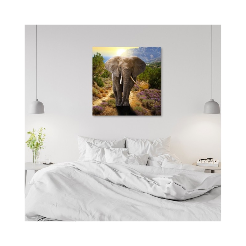 Dekoratives Leinwandbild - Elefant bei Sonnenuntergang | Feeby
