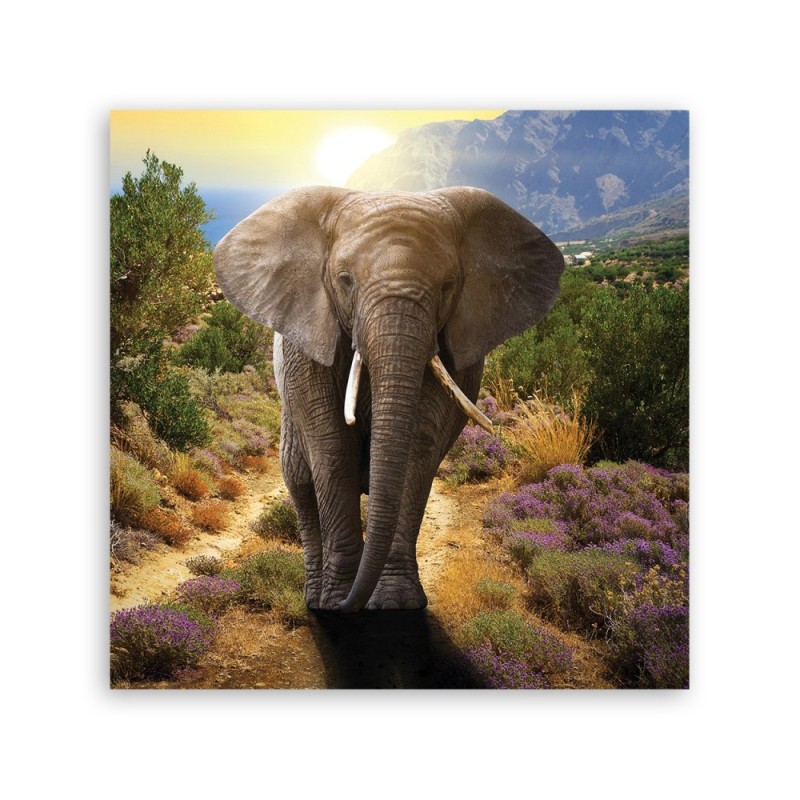 Dekoratives Leinwandbild - Elefant bei Sonnenuntergang | Feeby