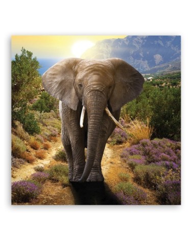 Dekoratives Leinwandbild - Elefant bei Sonnenuntergang | Feeby