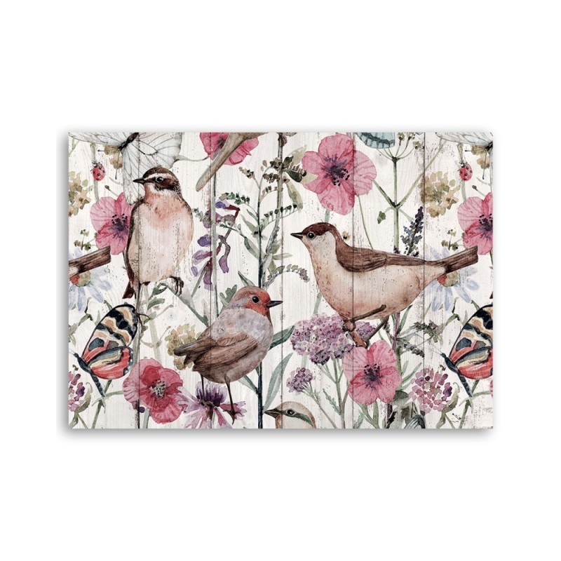 Leinwandbild - Vögel und Schmetterlinge auf der Wiese | Feeby