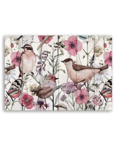 Leinwandbild - Vögel und Schmetterlinge auf der Wiese | Feeby