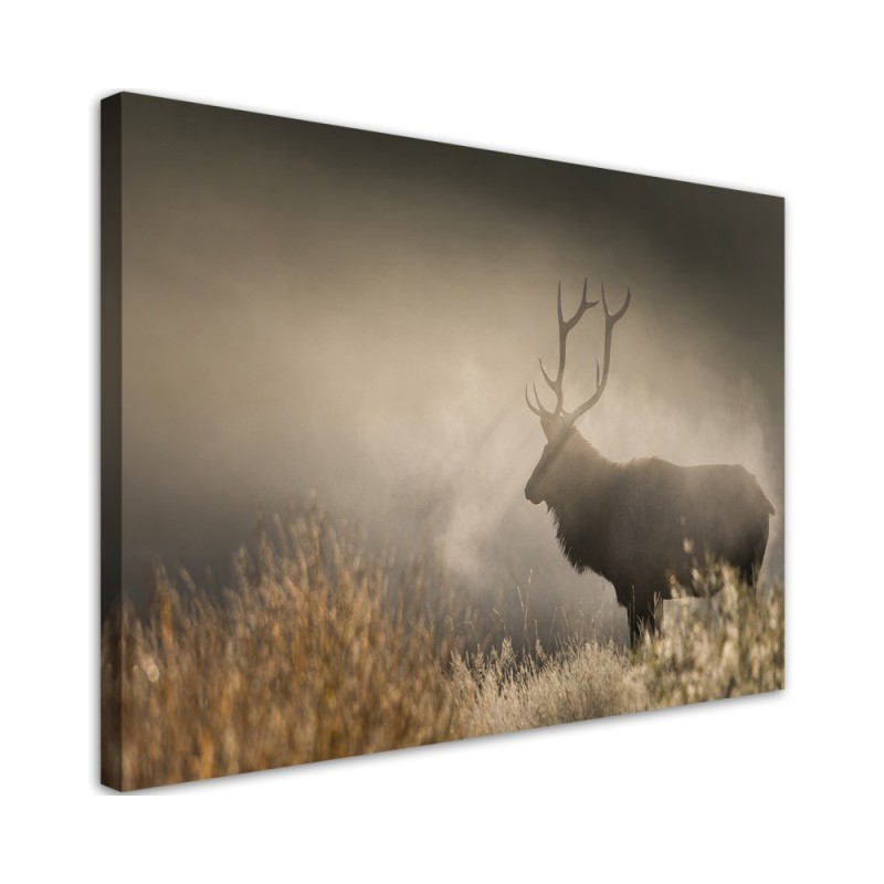 Dekoratives Leinwandbild - Hirsch in der Nebel Natur | Feeby