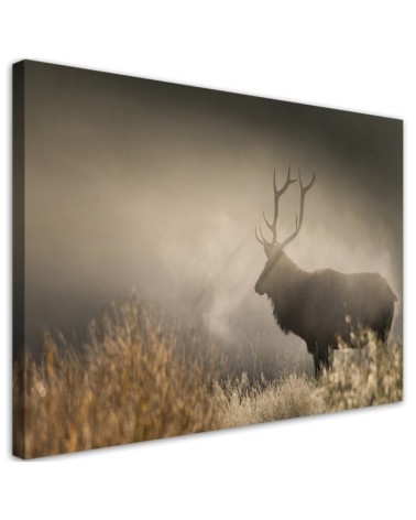 Dekoratives Leinwandbild - Hirsch in der Nebel Natur | Feeby