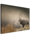 Obraz do salonu canvas - Jeleń we mgle natura krajobraz | FEEBY