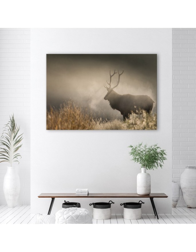 Obraz do salonu canvas - Jeleń we mgle natura krajobraz | FEEBY