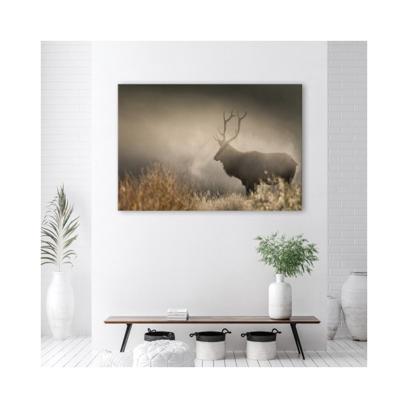 Dekoratives Leinwandbild - Hirsch in der Nebel Natur | Feeby