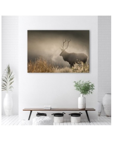 Dekoratives Leinwandbild - Hirsch in der Nebel Natur | Feeby