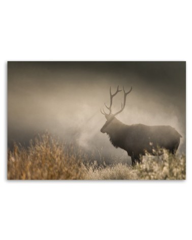 Dekoratives Leinwandbild - Hirsch in der Nebel Natur | Feeby