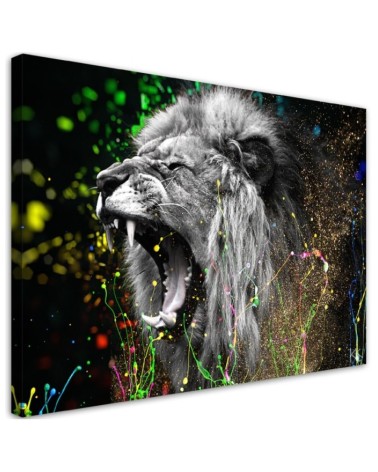 Bild auf Leinwand - Löwe Tier Natur | Feeby